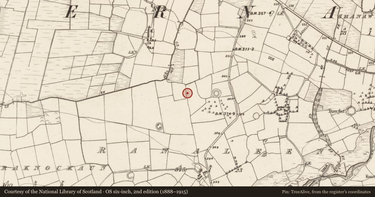 Ordnance Survey six-inch map, 2nd edition (1888–1915) covering the location of Fulacht fia, Ranaleen, County Kerry, with a pin at the register's coordinates