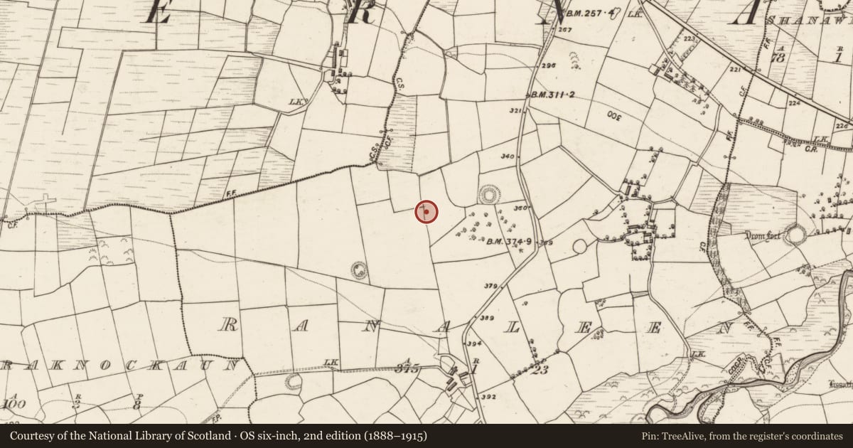 Ordnance Survey six-inch map, 2nd edition (1888–1915) covering the location of Fulacht fia, Ranaleen, County Kerry, with a pin at the register's coordinates