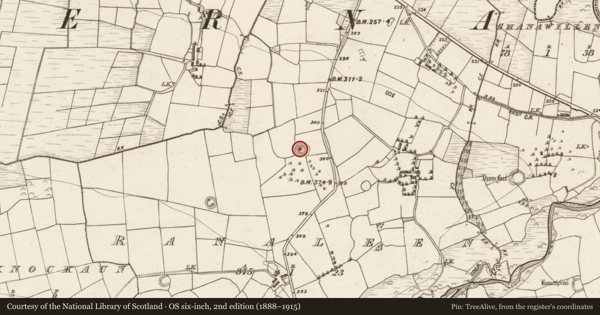 Ordnance Survey six-inch map, 2nd edition (1888–1915) covering the location of Ringfort - rath, Ranaleen, County Kerry, with a pin at the register's coordinates
