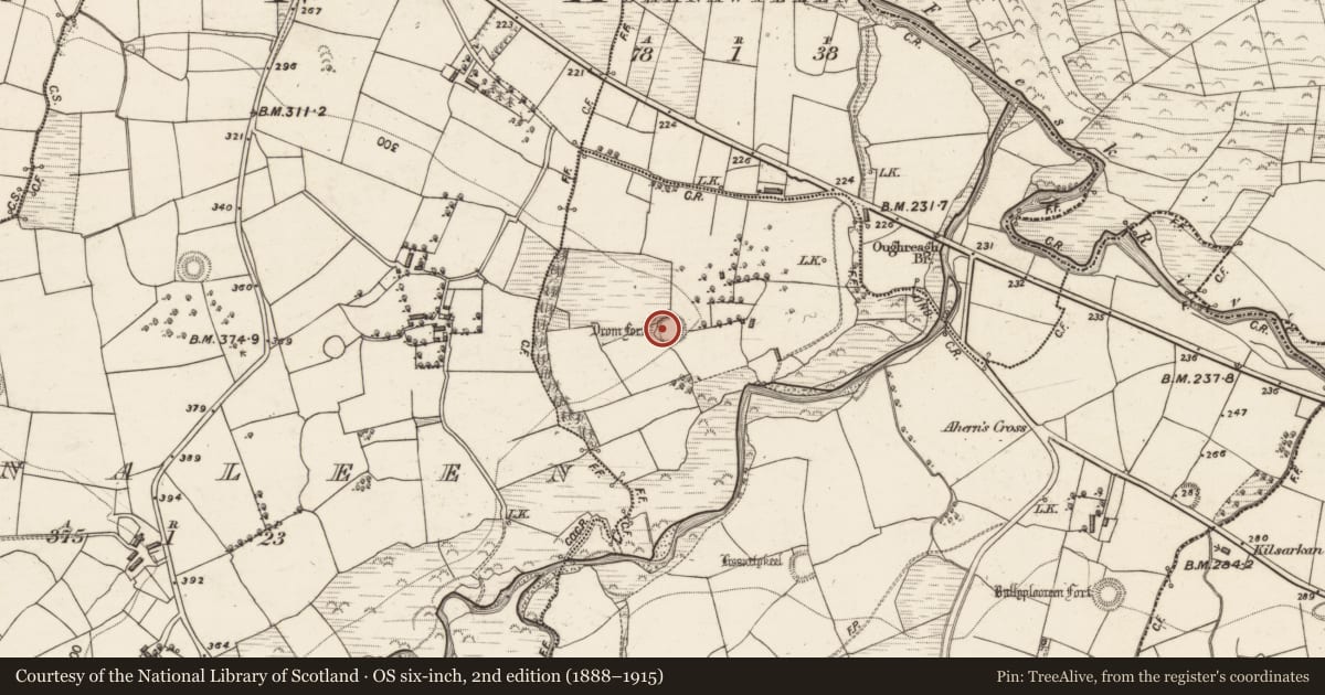 Ordnance Survey six-inch map, 2nd edition (1888–1915) covering the location of Ringfort - rath, Inchincummer, County Kerry, with a pin at the register's coordinates