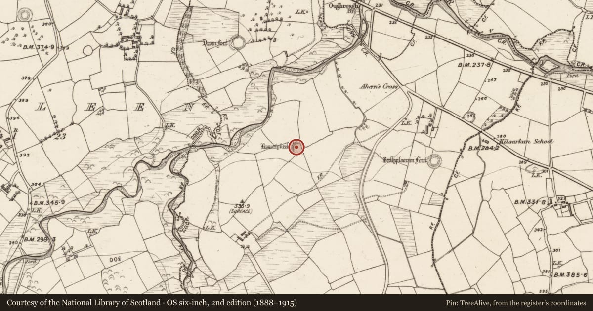 Ordnance Survey six-inch map, 2nd edition (1888–1915) covering the location of Enclosure, Inchincummer, County Kerry, with a pin at the register's coordinates