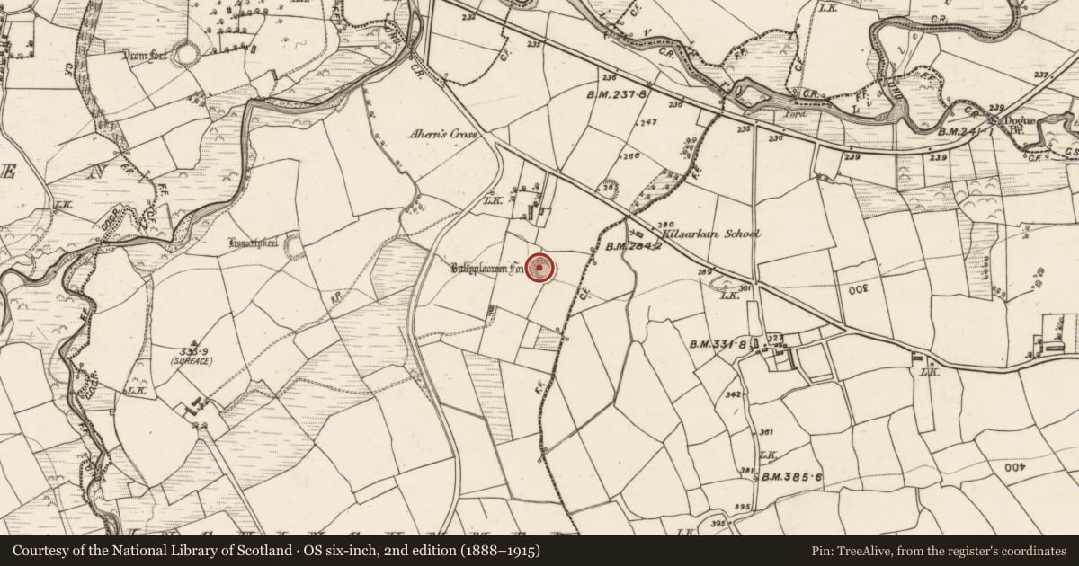 Ordnance Survey six-inch map, 2nd edition (1888–1915) covering the location of Ringfort - rath, Inchincummer, County Kerry, with a pin at the register's coordinates