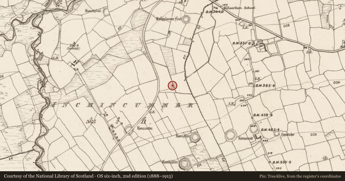 Ordnance Survey six-inch map, 2nd edition (1888–1915) covering the location of Fulacht fia, Inchincummer, County Kerry, with a pin at the register's coordinates