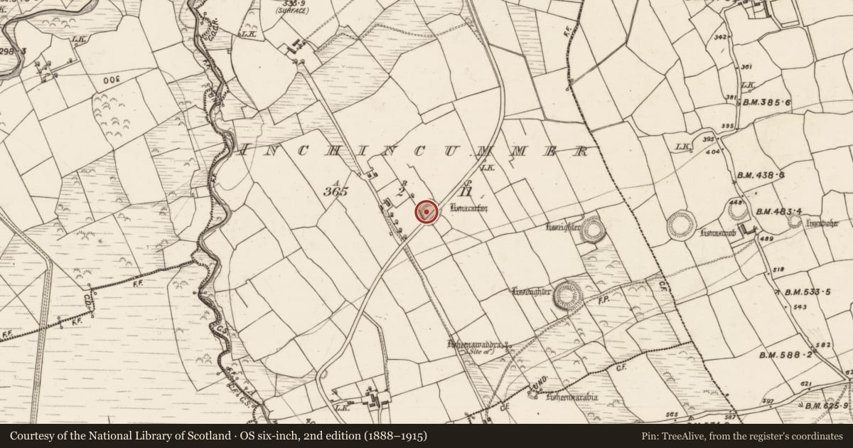 Ordnance Survey six-inch map, 2nd edition (1888–1915) covering the location of Ringfort - rath, Inchincummer, County Kerry, with a pin at the register's coordinates