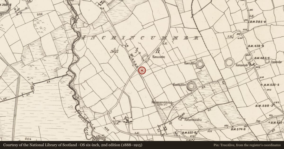 Ordnance Survey six-inch map, 2nd edition (1888–1915) covering the location of Ogham stone (present location), Inchincummer, County Kerry, with a pin at the register's coordinates