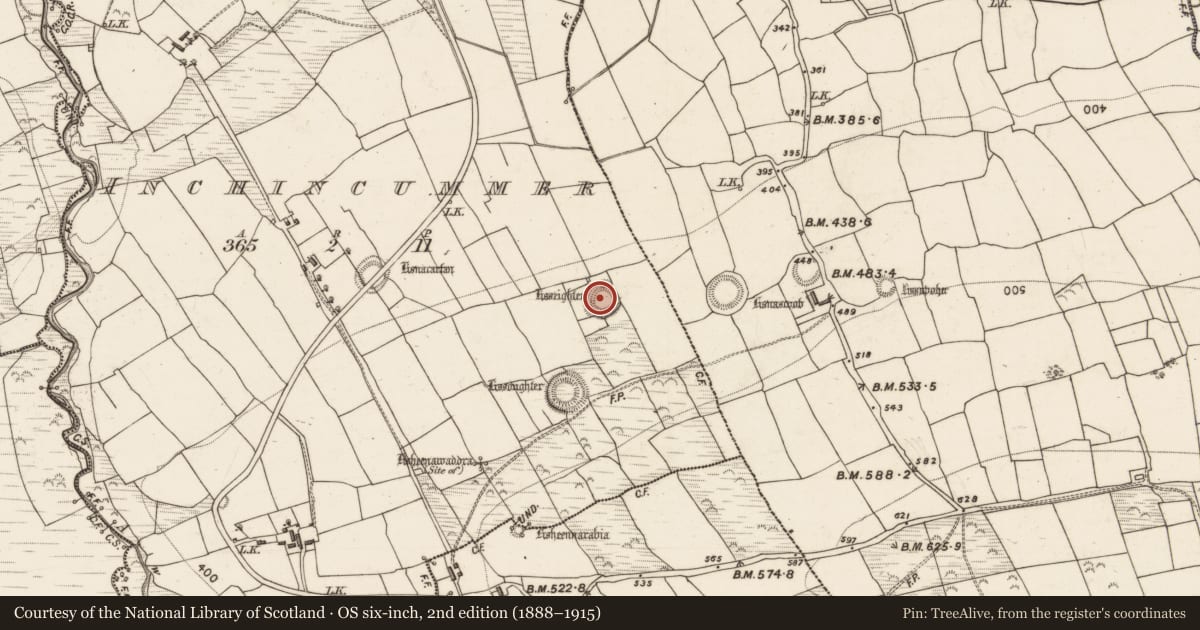Ordnance Survey six-inch map, 2nd edition (1888–1915) covering the location of Souterrain, Inchincummer, County Kerry, with a pin at the register's coordinates