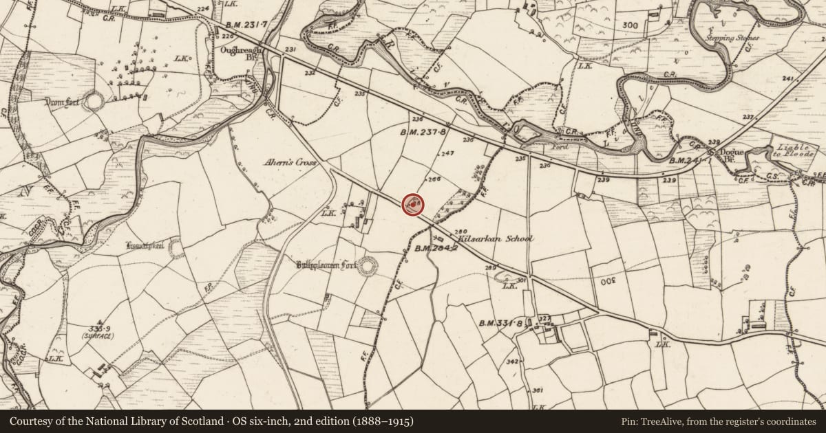 Ordnance Survey six-inch map, 2nd edition (1888–1915) covering the location of Ringfort - rath, Inchincummer, County Kerry, with a pin at the register's coordinates