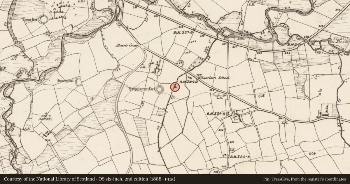 Ordnance Survey six-inch map, 2nd edition (1888–1915) covering the location of Fulacht fia, Kilsarkan West, County Kerry, with a pin at the register's coordinates