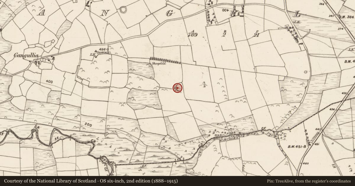 Ordnance Survey six-inch map, 2nd edition (1888–1915) covering the location of Ringfort - rath, Cangullia, County Kerry, with a pin at the register's coordinates