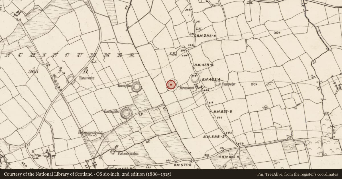 Ordnance Survey six-inch map, 2nd edition (1888–1915) covering the location of Hut site, Kilsarkan West, County Kerry, with a pin at the register's coordinates