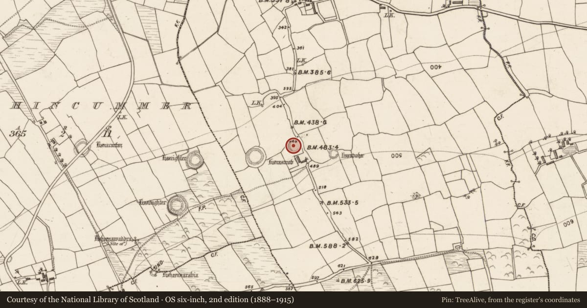 Ordnance Survey six-inch map, 2nd edition (1888–1915) covering the location of Ringfort - rath, Kilsarkan West, County Kerry, with a pin at the register's coordinates