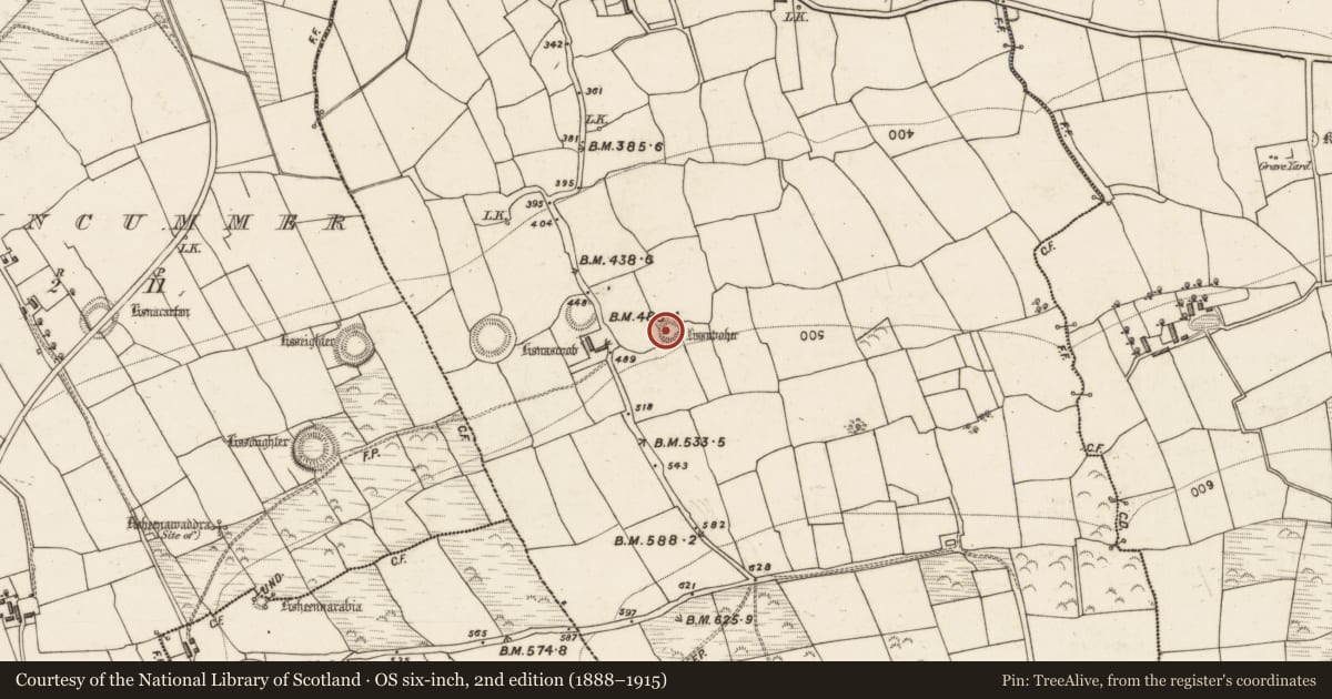Ordnance Survey six-inch map, 2nd edition (1888–1915) covering the location of Ringfort - rath, Kilsarkan West, County Kerry, with a pin at the register's coordinates