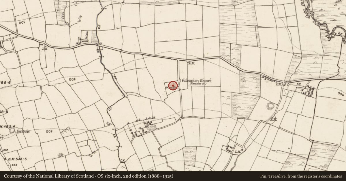 Ordnance Survey six-inch map, 2nd edition (1888–1915) covering the location of Church, Kilsarkan East, County Kerry, with a pin at the register's coordinates