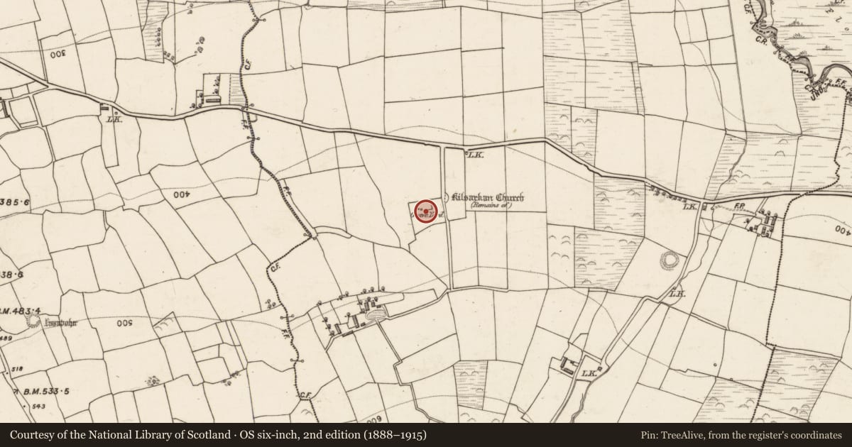 Ordnance Survey six-inch map, 2nd edition (1888–1915) covering the location of Graveyard, Kilsarkan East, County Kerry, with a pin at the register's coordinates