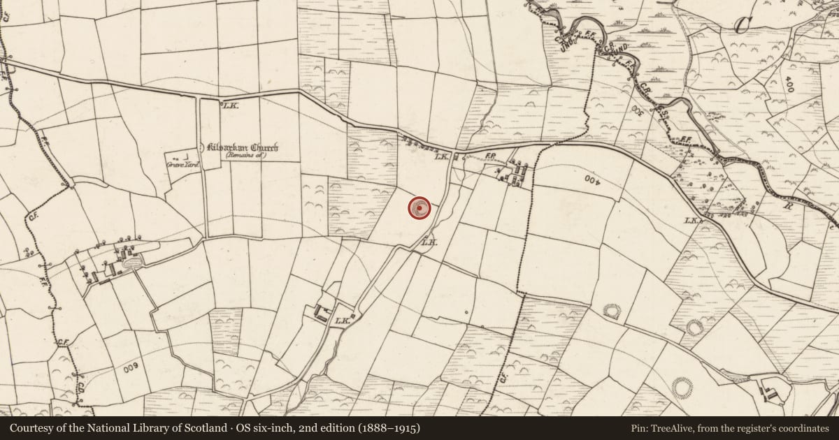 Ordnance Survey six-inch map, 2nd edition (1888–1915) covering the location of Ringfort - rath, Kilsarkan East, County Kerry, with a pin at the register's coordinates
