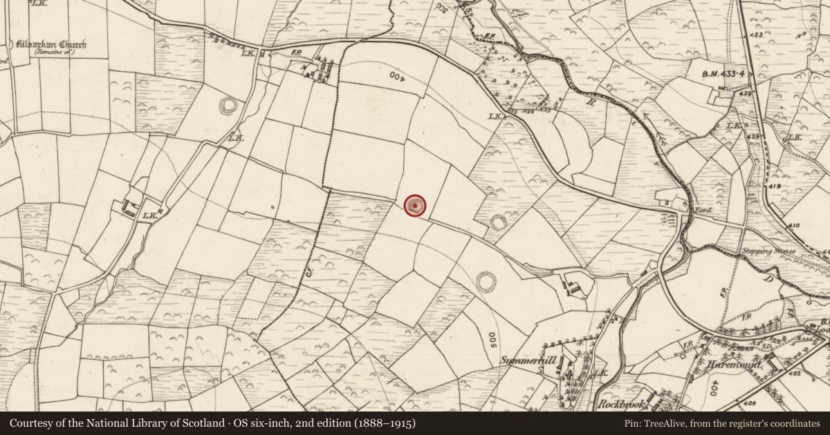 Ordnance Survey six-inch map, 2nd edition (1888–1915) covering the location of Enclosure, Ballahantouragh, County Kerry, with a pin at the register's coordinates
