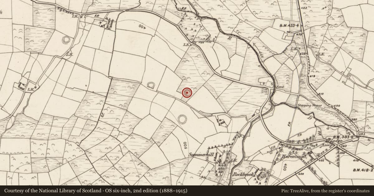Ordnance Survey six-inch map, 2nd edition (1888–1915) covering the location of Ringfort - rath, Ballahantouragh, County Kerry, with a pin at the register's coordinates