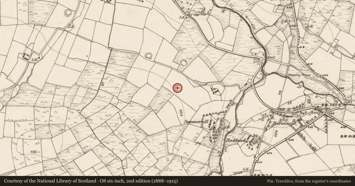 Ordnance Survey six-inch map, 2nd edition (1888–1915) covering the location of Enclosure, Ballahantouragh, County Kerry, with a pin at the register's coordinates