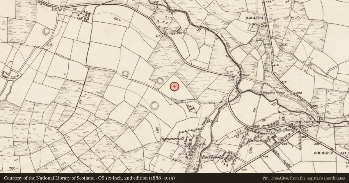 Ordnance Survey six-inch map, 2nd edition (1888–1915) covering the location of Fulacht fia, Ballahantouragh, County Kerry, with a pin at the register's coordinates
