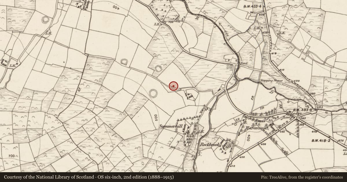Ordnance Survey six-inch map, 2nd edition (1888–1915) covering the location of Fulacht fia, Ballahantouragh, County Kerry, with a pin at the register's coordinates