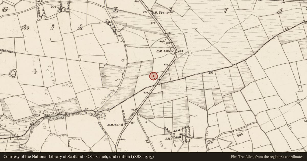 Ordnance Survey six-inch map, 2nd edition (1888–1915) covering the location of Fulacht fia, Cangullia, County Kerry, with a pin at the register's coordinates