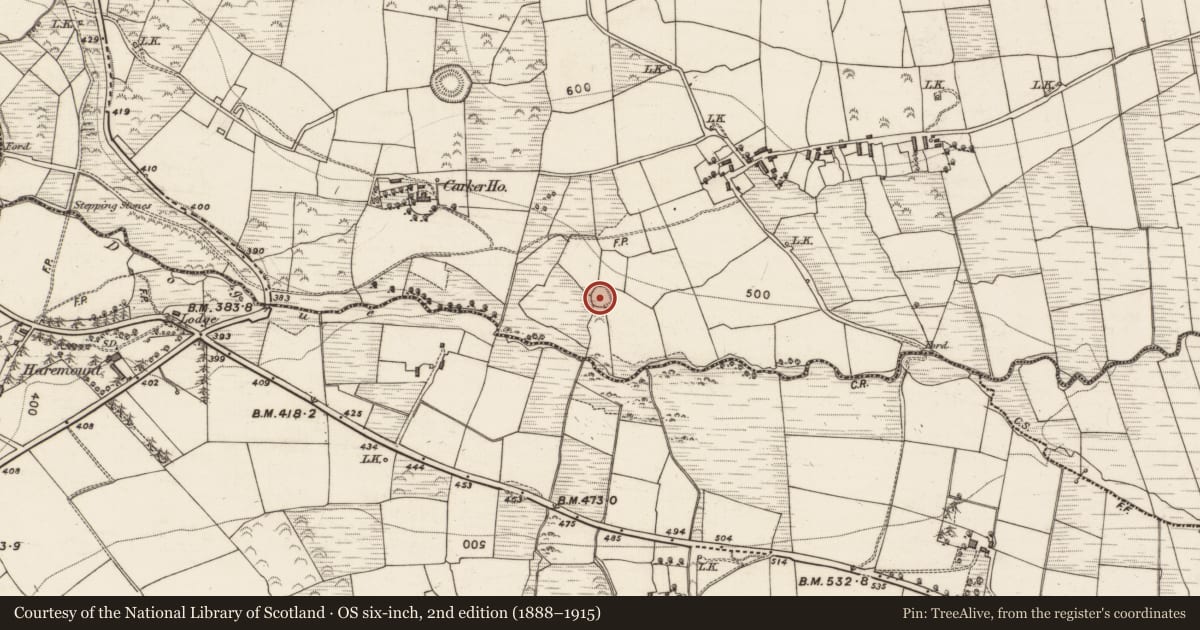 Ordnance Survey six-inch map, 2nd edition (1888–1915) covering the location of Ringfort - rath, Carker, County Kerry, with a pin at the register's coordinates