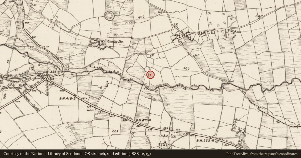 Ordnance Survey six-inch map, 2nd edition (1888–1915) covering the location of Burial ground, Carker, County Kerry, with a pin at the register's coordinates