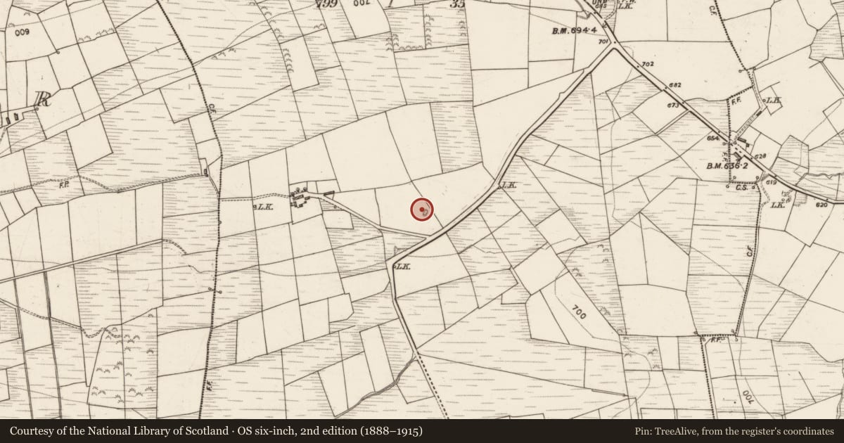 Ordnance Survey six-inch map, 2nd edition (1888–1915) covering the location of Fulacht fia, Knockrower West, County Kerry, with a pin at the register's coordinates