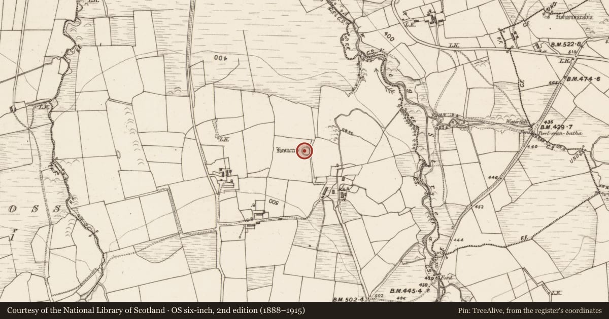 Ordnance Survey six-inch map, 2nd edition (1888–1915) covering the location of Ringfort - rath, Glandaeagh, County Kerry, with a pin at the register's coordinates