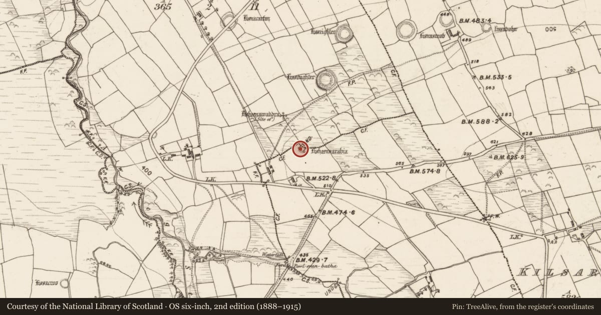 Ordnance Survey six-inch map, 2nd edition (1888–1915) covering the location of Ogham stone, Bawnaglanna, Inchincummer, County Kerry, with a pin at the register's coordinates