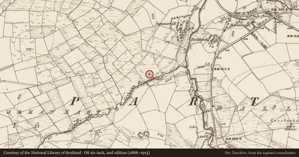 Ordnance Survey six-inch map, 2nd edition (1888–1915) covering the location of Fulacht fia, Ballahantouragh, County Kerry, with a pin at the register's coordinates