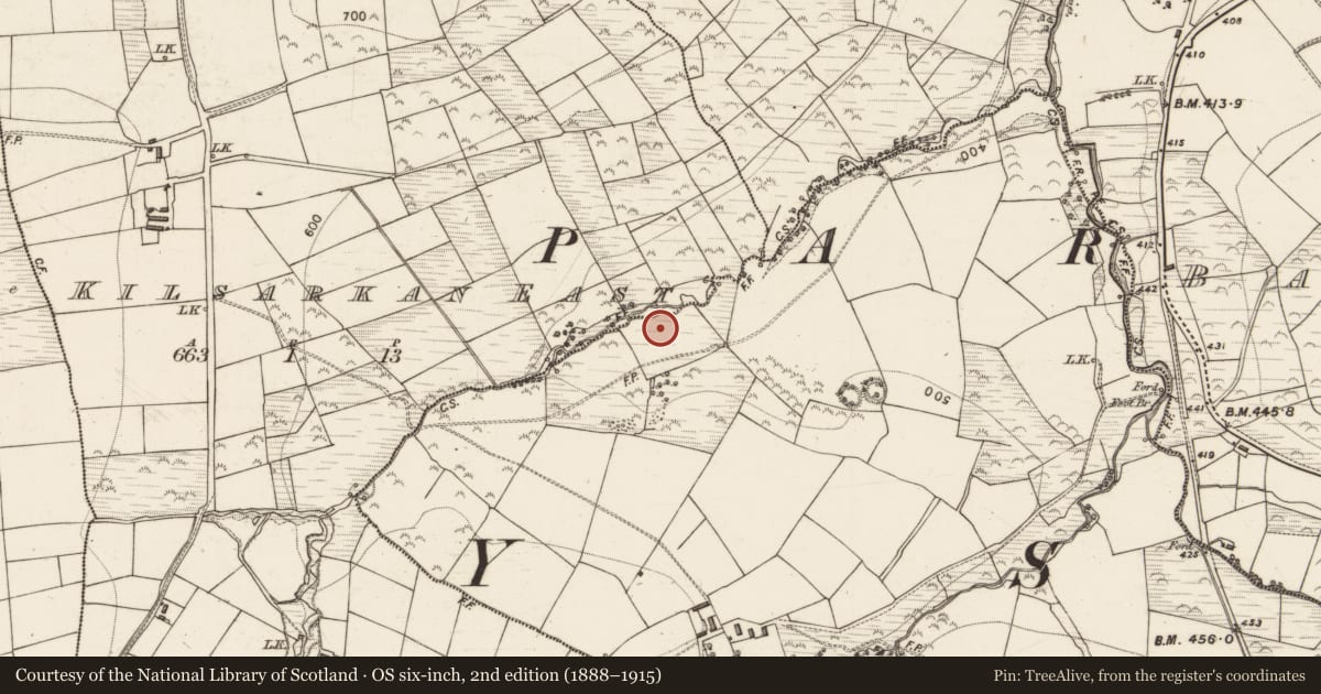 Ordnance Survey six-inch map, 2nd edition (1888–1915) covering the location of Fulacht fia, Glanlea, County Kerry, with a pin at the register's coordinates