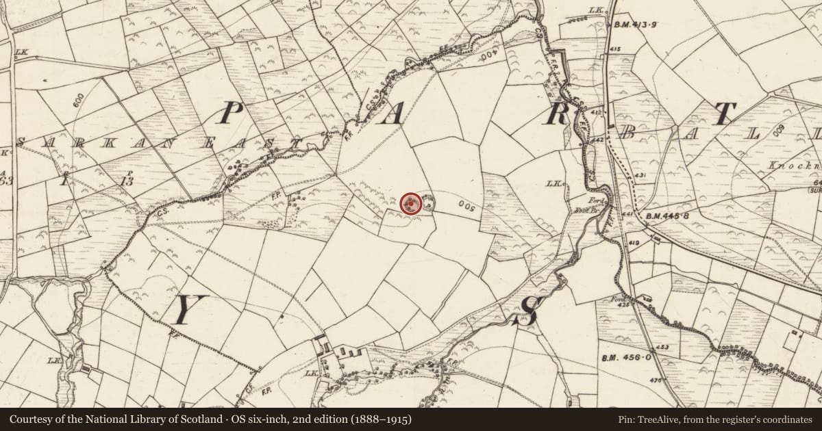 Ordnance Survey six-inch map, 2nd edition (1888–1915) covering the location of Hut site, Glanlea, County Kerry, with a pin at the register's coordinates