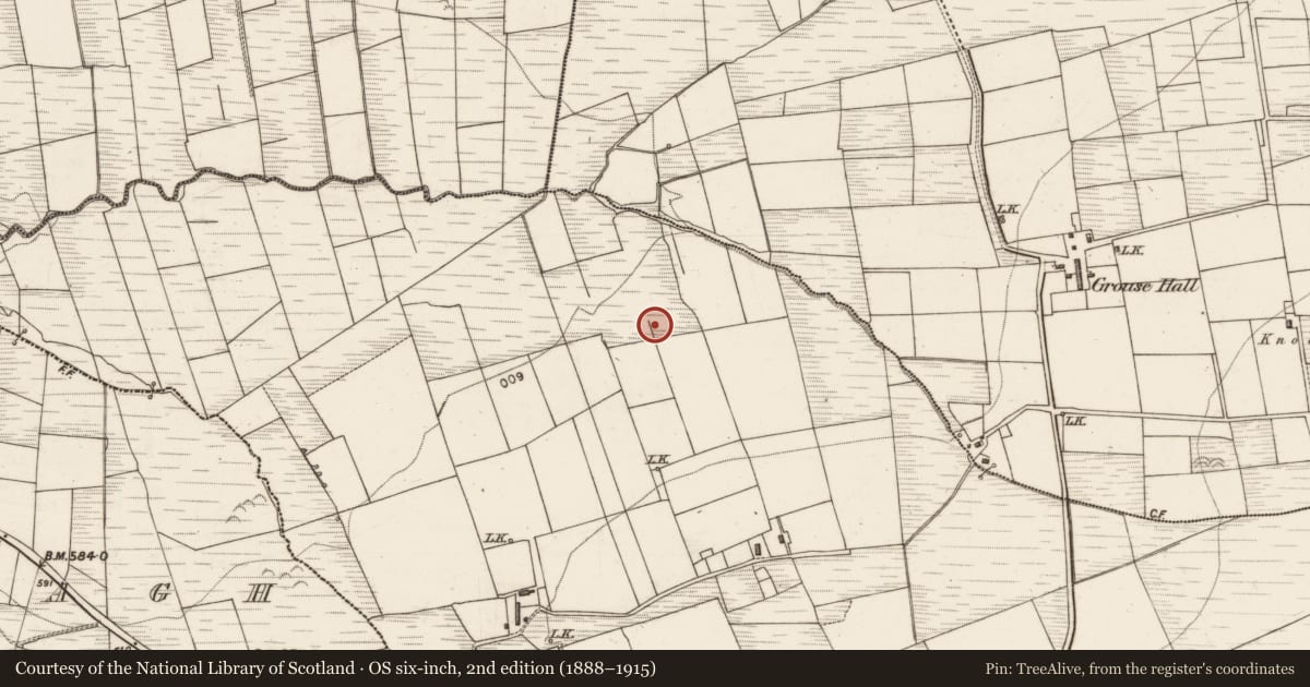 Ordnance Survey six-inch map, 2nd edition (1888–1915) covering the location of Fulacht fia, Knockreagh, County Kerry, with a pin at the register's coordinates
