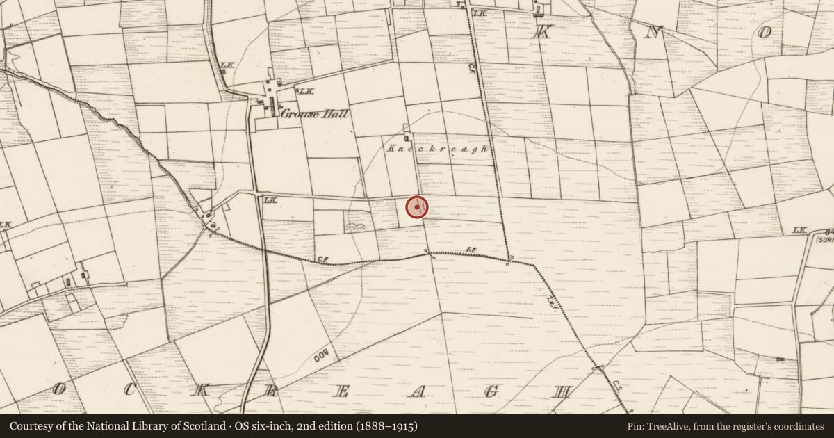 Ordnance Survey six-inch map, 2nd edition (1888–1915) covering the location of Stone row, Knockrower West, County Kerry, with a pin at the register's coordinates