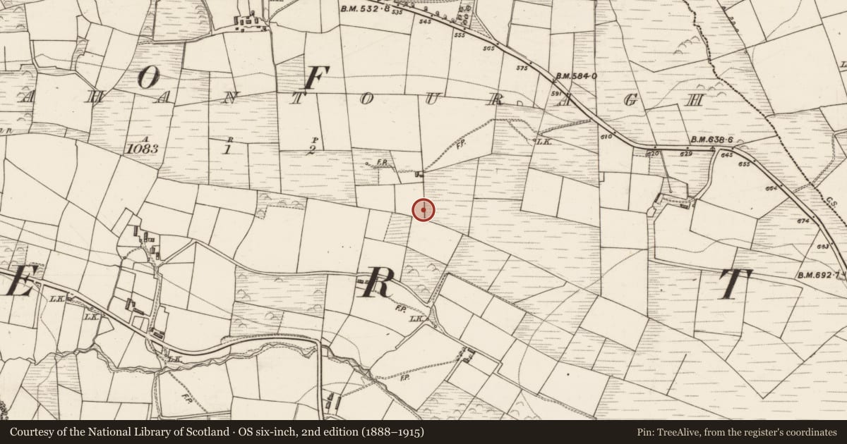 Ordnance Survey six-inch map, 2nd edition (1888–1915) covering the location of Stone circle, Ballahantouragh, County Kerry, with a pin at the register's coordinates
