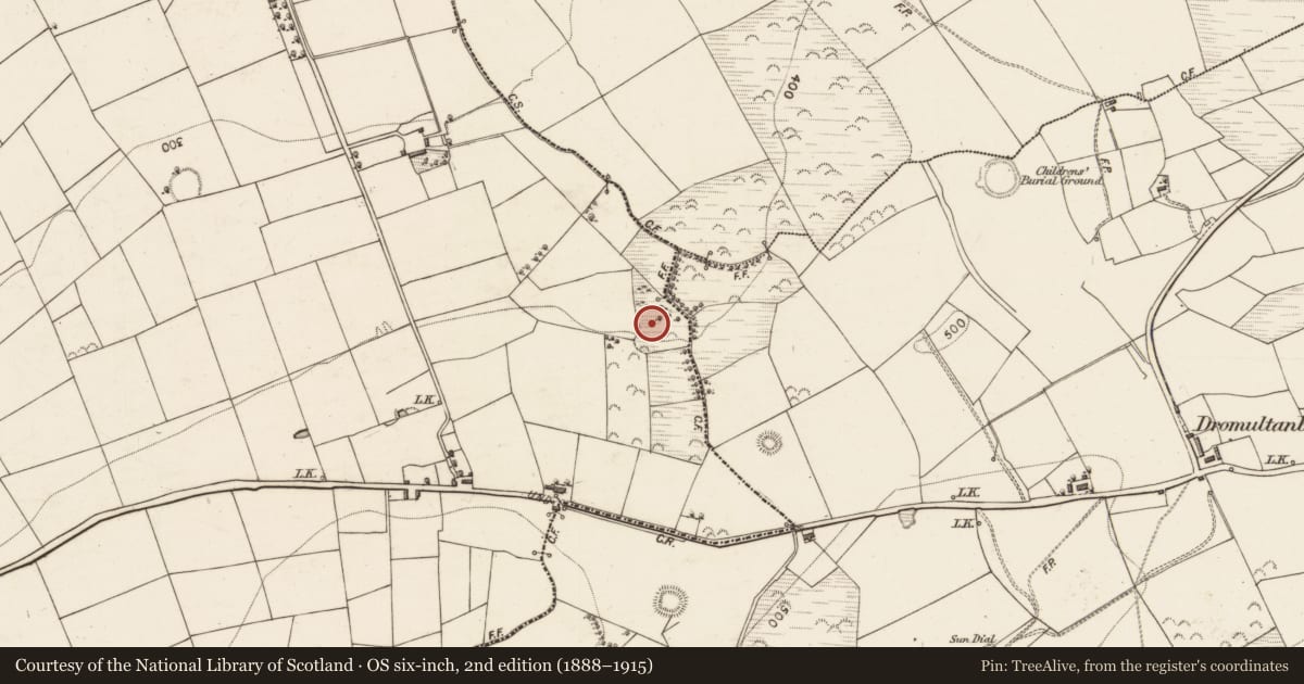 Ordnance Survey six-inch map, 2nd edition (1888–1915) covering the location of Fulacht fia, Dromultan, County Kerry, with a pin at the register's coordinates
