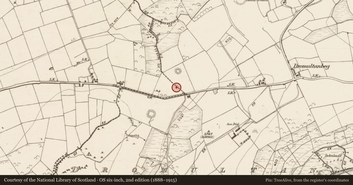 Ordnance Survey six-inch map, 2nd edition (1888–1915) covering the location of Cist, Dromultan, County Kerry, with a pin at the register's coordinates