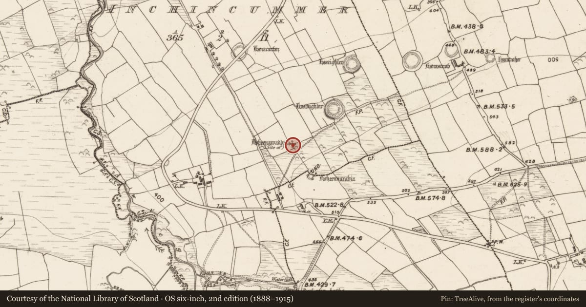 Ordnance Survey six-inch map, 2nd edition (1888–1915) covering the location of Ogham stone, Inchincummer, County Kerry, with a pin at the register's coordinates