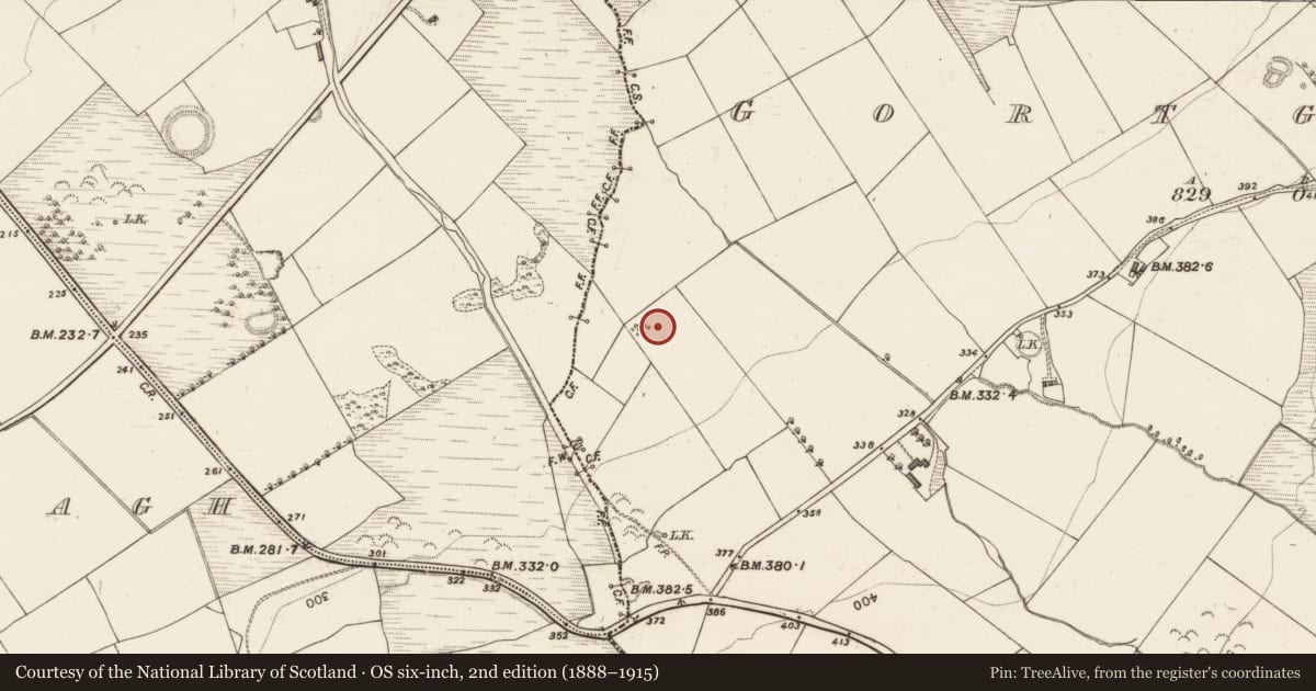 Ordnance Survey six-inch map, 2nd edition (1888–1915) covering the location of Enclosure, Gortglass, County Kerry, with a pin at the register's coordinates