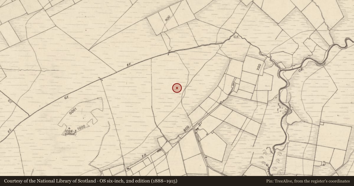 Ordnance Survey six-inch map, 2nd edition (1888–1915) covering the location of Megalithic tomb - wedge tomb, Derreen, County Kerry, with a pin at the register's coordinates