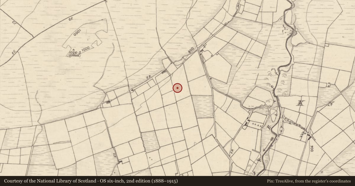 Ordnance Survey six-inch map, 2nd edition (1888–1915) covering the location of Standing stone, Derreen, County Kerry, with a pin at the register's coordinates