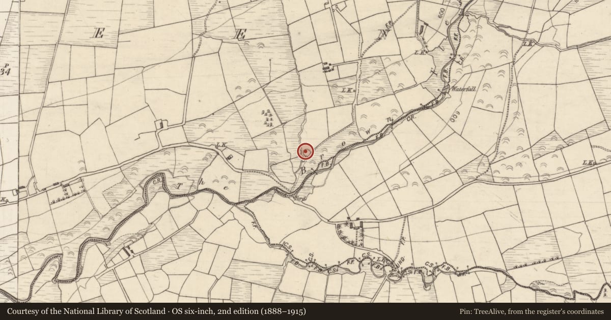 Ordnance Survey six-inch map, 2nd edition (1888–1915) covering the location of Ringfort - rath, Derreen, County Kerry, with a pin at the register's coordinates