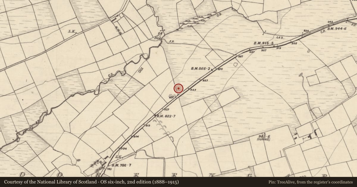 Ordnance Survey six-inch map, 2nd edition (1888–1915) covering the location of Enclosure, Tooreengarriv, County Kerry, with a pin at the register's coordinates