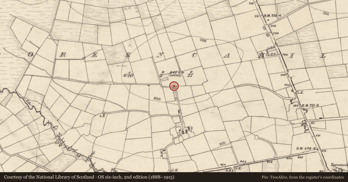 Ordnance Survey six-inch map, 2nd edition (1888–1915) covering the location of Burnt spread, Tooreencahill, County Kerry, with a pin at the register's coordinates