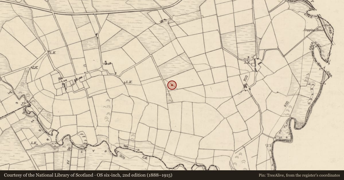 Ordnance Survey six-inch map, 2nd edition (1888–1915) covering the location of Barrow - ring-barrow, Ballynahulla, County Kerry, with a pin at the register's coordinates