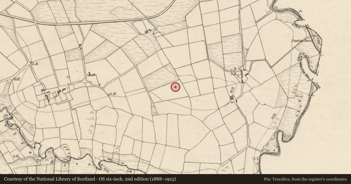 Ordnance Survey six-inch map, 2nd edition (1888–1915) covering the location of Barrow - ring-barrow, Ballynahulla, County Kerry, with a pin at the register's coordinates