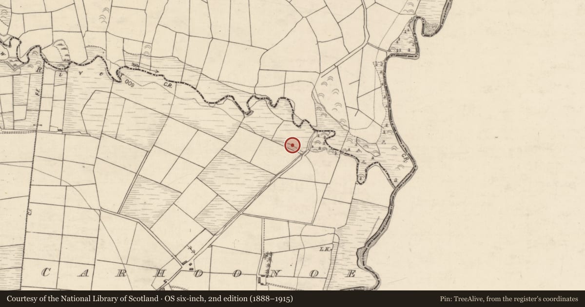 Ordnance Survey six-inch map, 2nd edition (1888–1915) covering the location of Burnt spread, Carhoonoe, County Kerry, with a pin at the register's coordinates