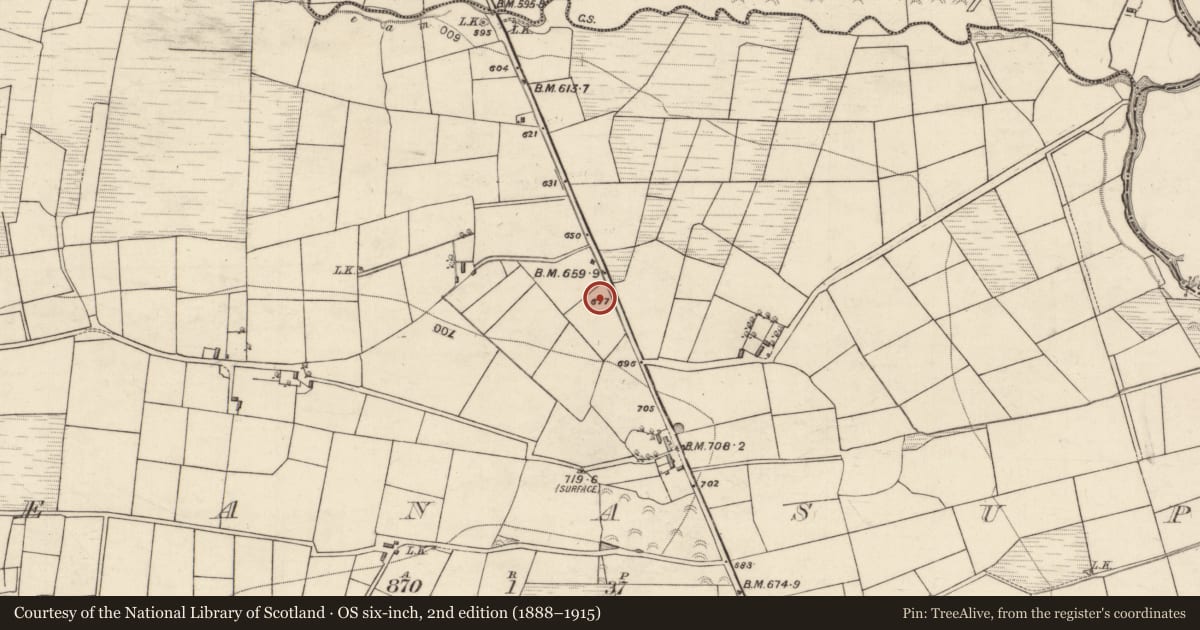Ordnance Survey six-inch map, 2nd edition (1888–1915) covering the location of Fulacht fia, Reanasup, County Kerry, with a pin at the register's coordinates