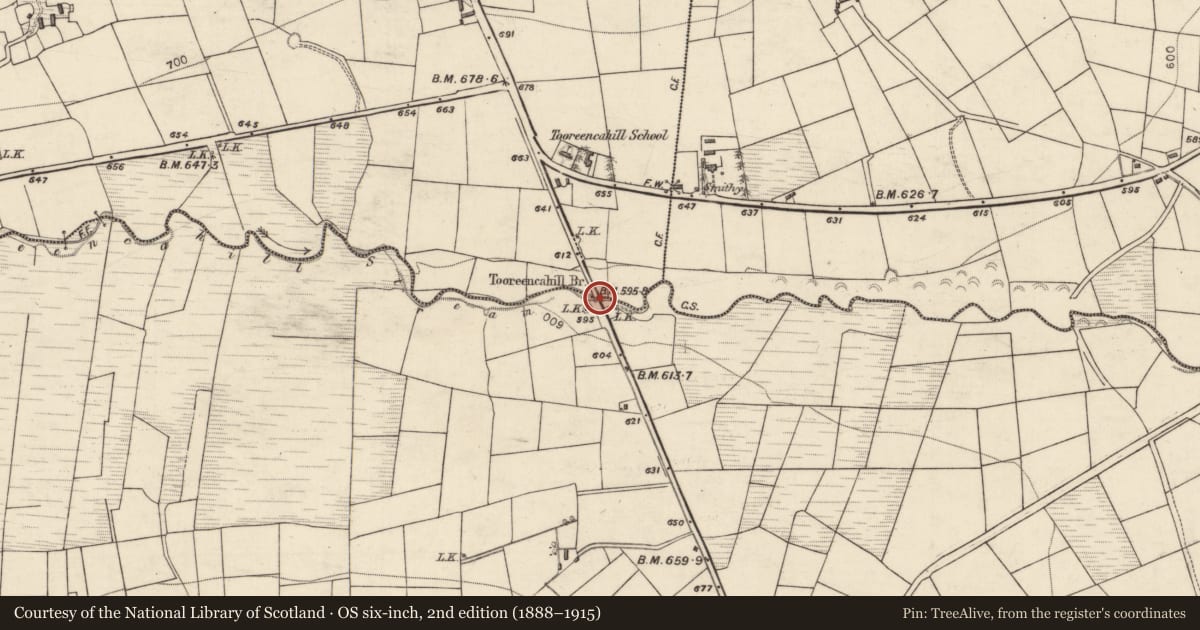 Ordnance Survey six-inch map, 2nd edition (1888–1915) covering the location of Bridge, Reanasup, Tooreencahill, County Kerry, with a pin at the register's coordinates